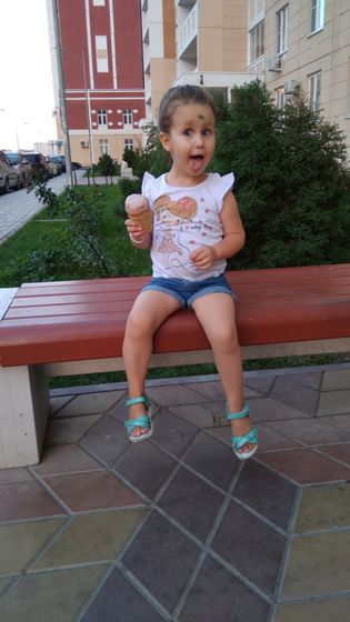 Лиза 3,3