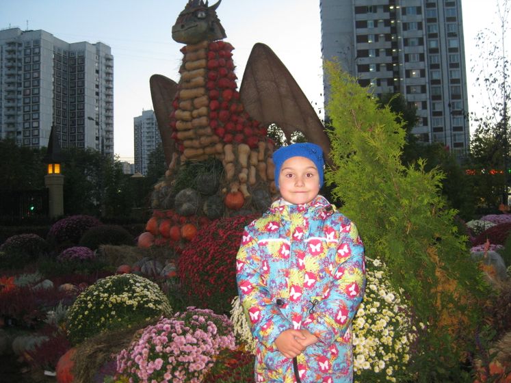 Площадка фестиваля
