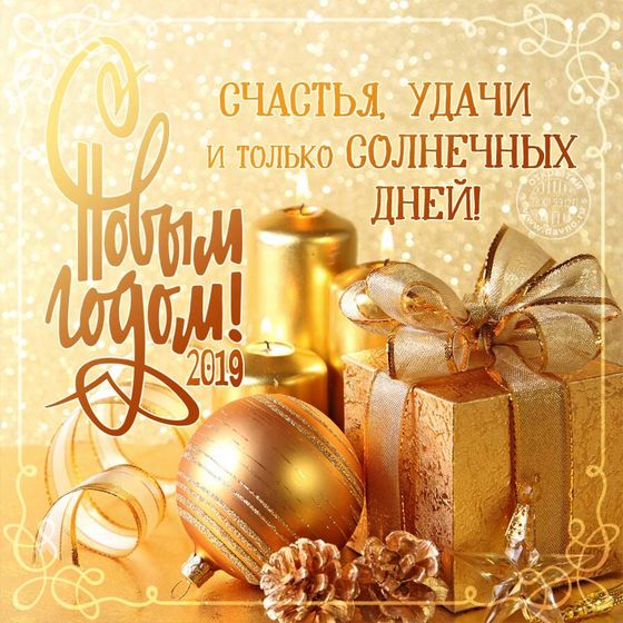 С Новым 2019 годом!!!