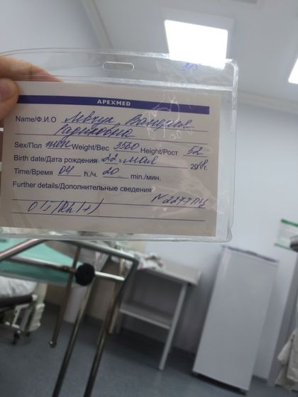 МОЯ ИСТОРИЯ РОДОВ ✨
