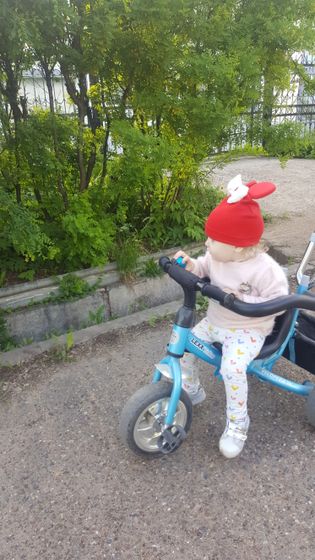 Тема сисек