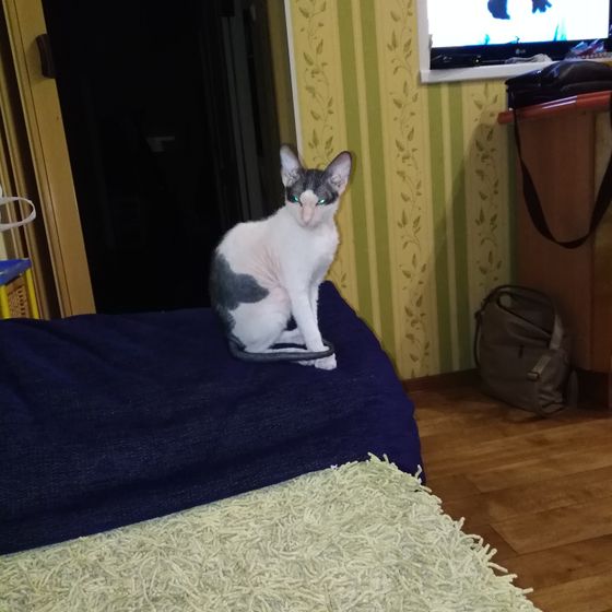Девочки, чем кормите своих