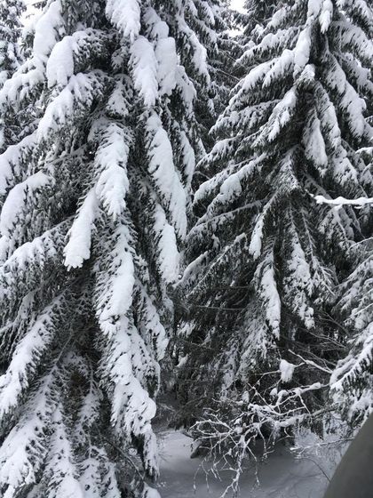 Зимы вам в ленту💙❄️⛄️🌧