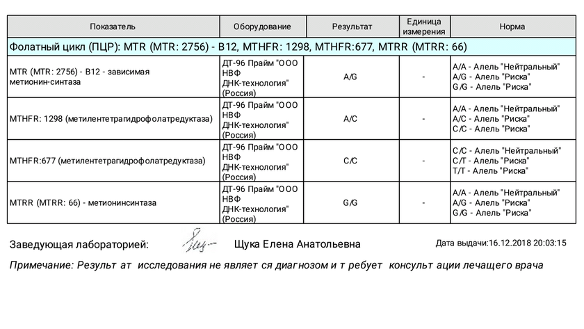Фолатный цикл