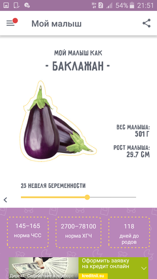 23 недели