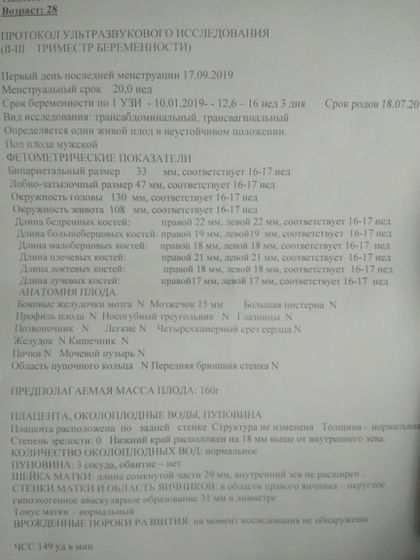 УЗИ. 16 недель.