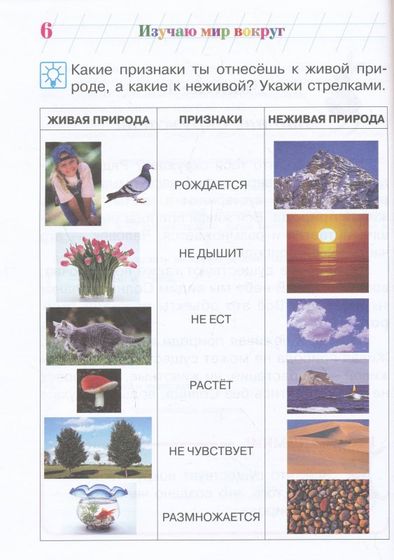 Наши занятия с Мирославом, 6 лет. Часть 2