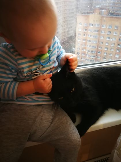 Хорошие новости) ❤