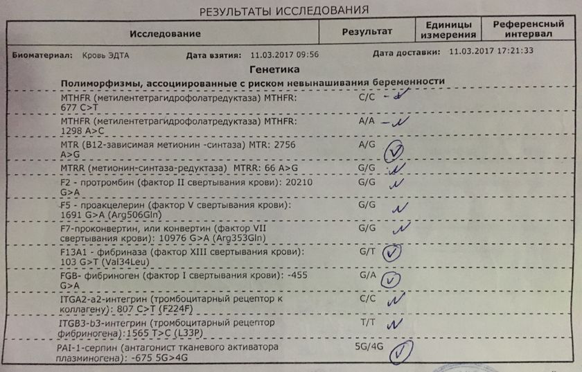 SOS генетика! Помогите расшифровать