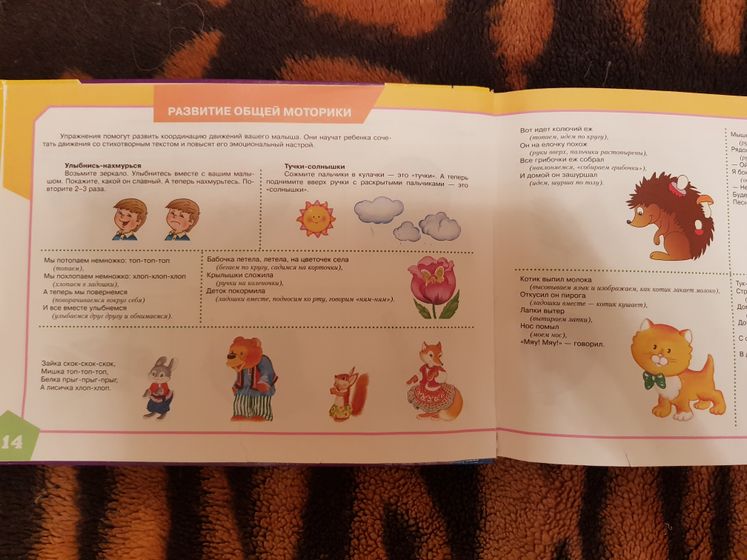 Наши новые книжные фавориты)