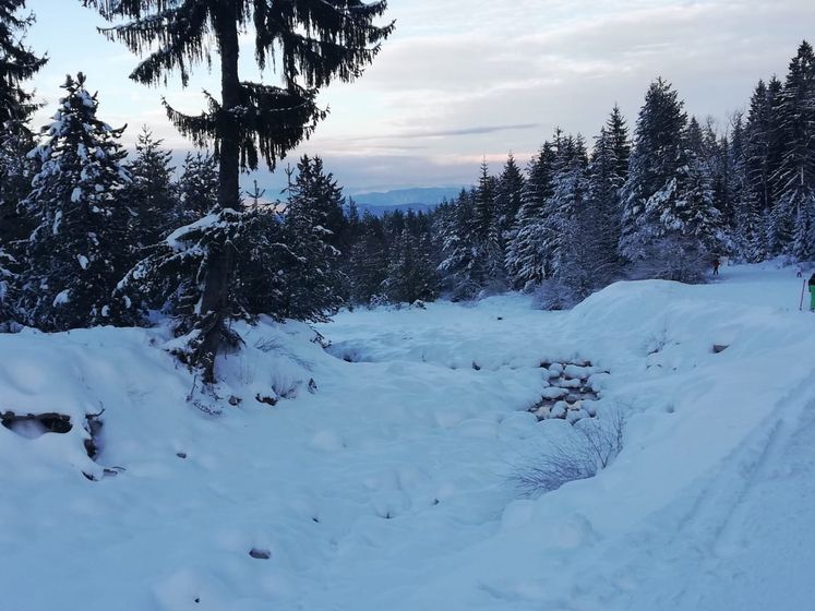 Горнолыжка с детками. Фото.