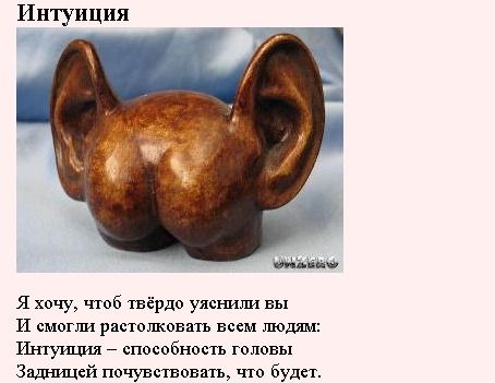 Чуйка. А как у вас с интуицией?