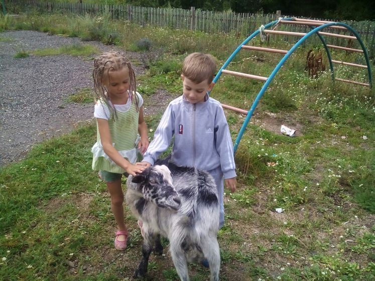 Воспоминания о лете.