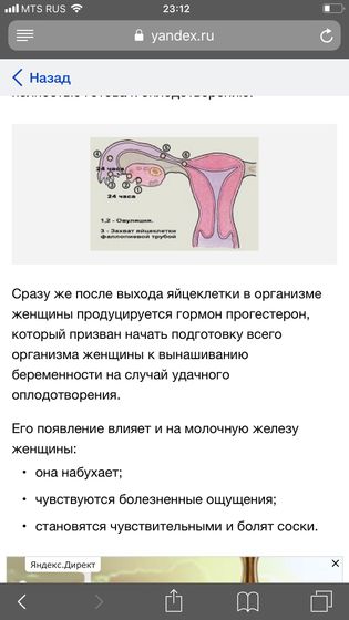 Нашла в интернете почему болят соски после овуляции