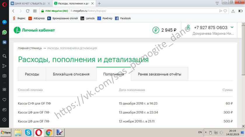 ДОМРАЧЕВ ДАНИИЛ Отчет о собранных средствах за 12.02.2019 - 14.02.2019