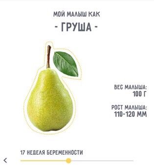 ??17 недель ?❤️