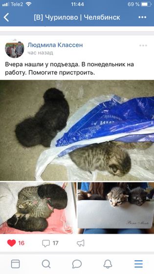 Челябинск, помощь!!! ❤️❤️❤️