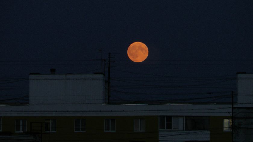 В чём уникальность данного