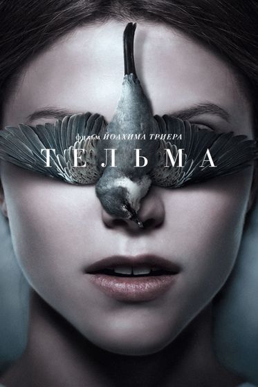 последние три фильма 258