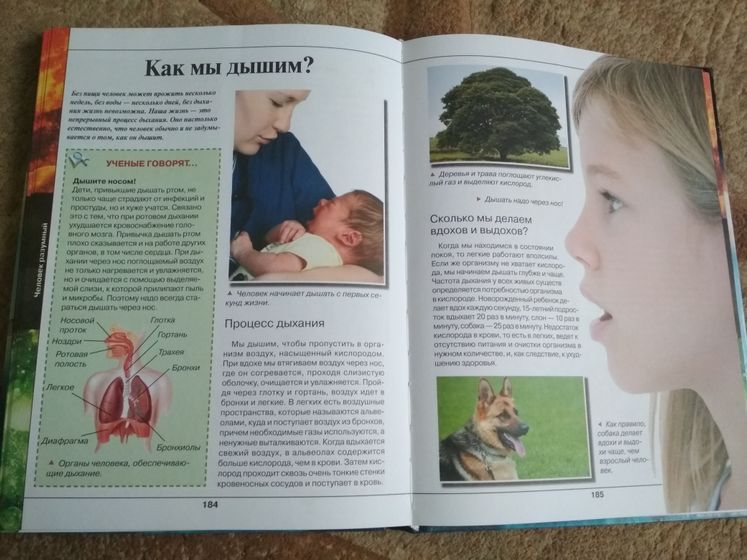 Дневник 25-28 февраля 2019. День рождения папы, занятия и анатомия.