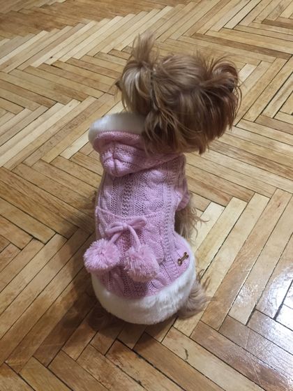 Отдам одежду на йорка