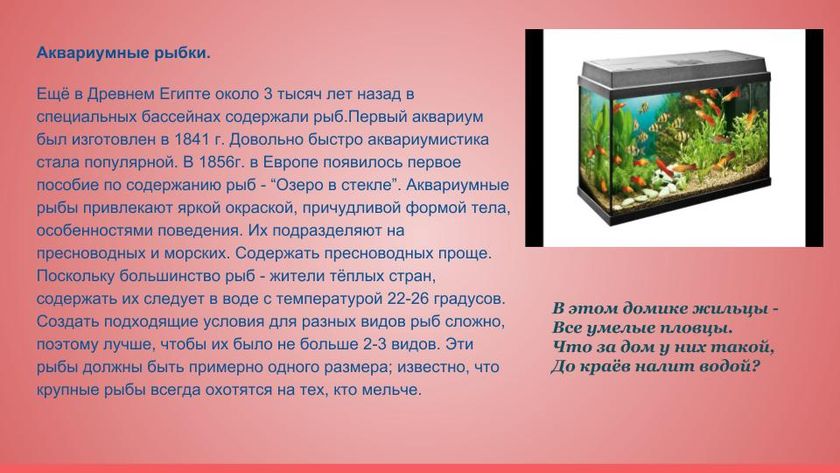 Презентация