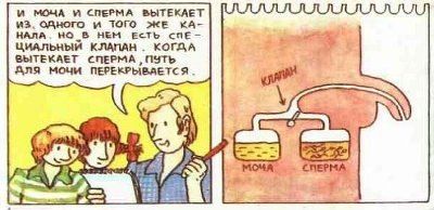 Детская книга “Откуда берутся дети?”