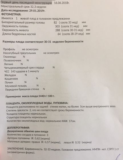 Задержка развития плода 2 недели
