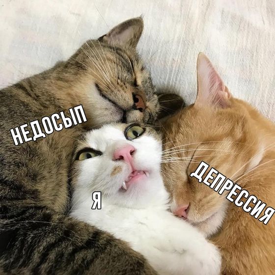 Чет вообще попадос