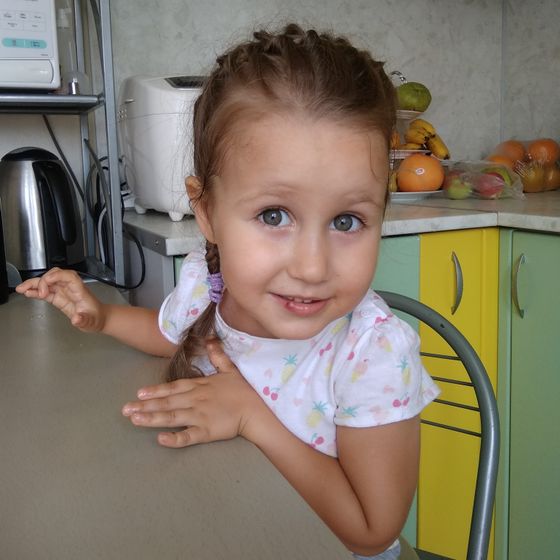 Лиза 3,3