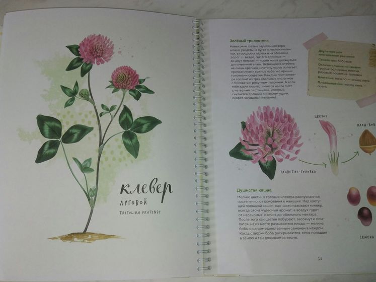 Книги юного ботаника.