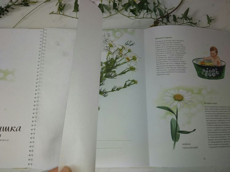 Книги юного ботаника.