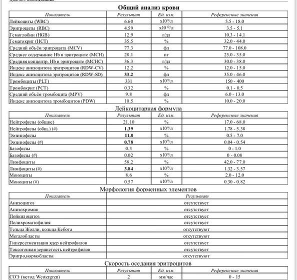 Анализы / выясняем отчего аллергия