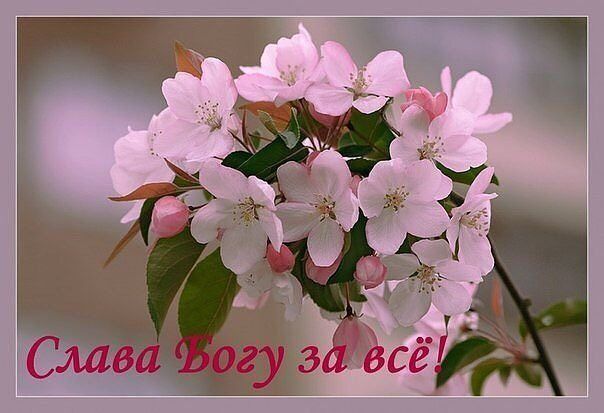 Родила сегодня девочку))) Делюсь