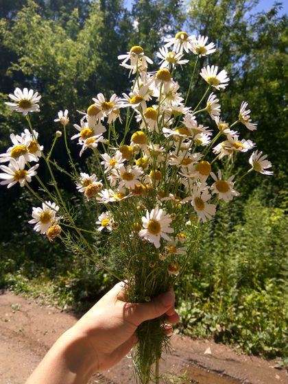 Пешие прогулки ❤️?️