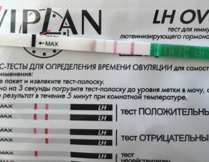 А была ли овуляция? тесты врут? узи может просмотреть?