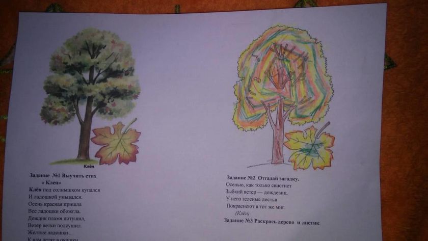 Интересно мнение...
