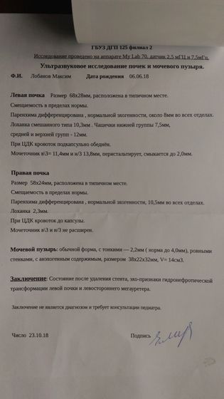 УЗИ от 23.10.18 (1 месяц после снятия стента)
