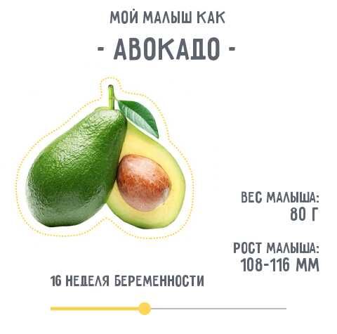 Мы растем.