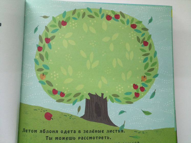 5 волшебных книг, которые...