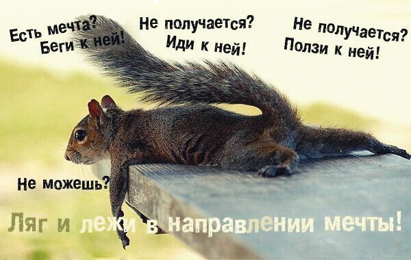 Немного для настроения