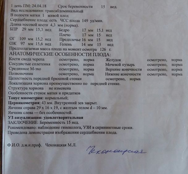 15 недель?