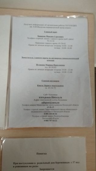 Перинатальный центр в Пензе