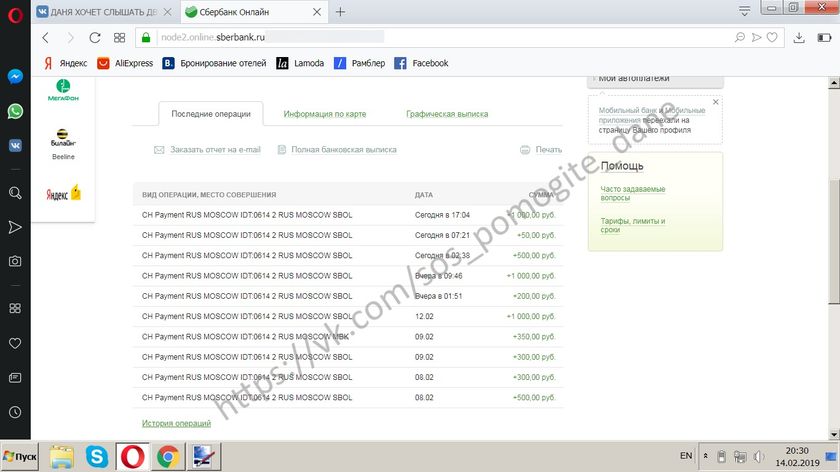 ДОМРАЧЕВ ДАНИИЛ Отчет о собранных средствах за 12.02.2019 - 14.02.2019