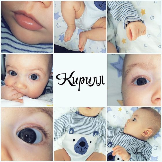 6 месяцев