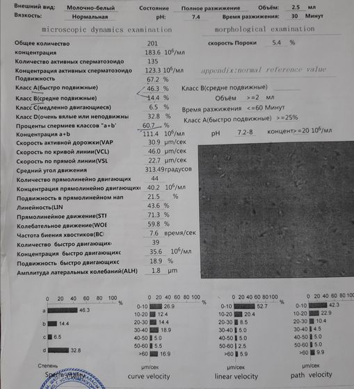 Спермограмма.