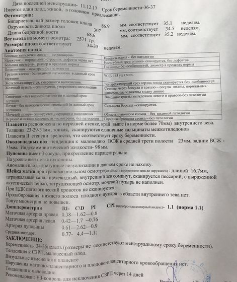 УЗИ в 36-37 недель