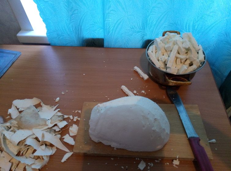 Гриб ,,головач,,