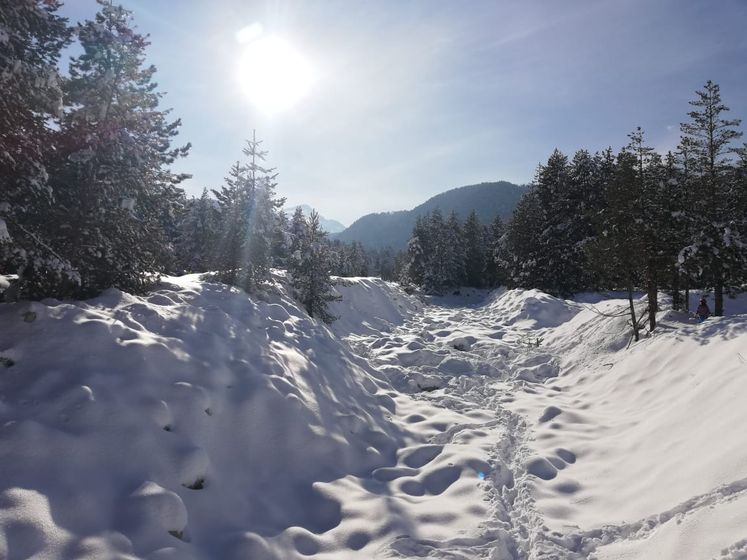 Горнолыжка с детками. Фото.