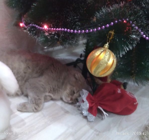 Вот и мы наконец-то